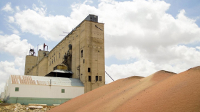 16 декабря в госфонд закуплено 55,89 тысячи тонн зерна